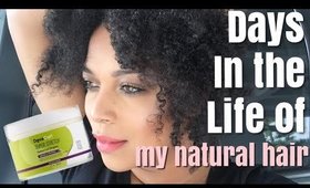 HAIR VLOG #1 | DAILY RESULTS of the DEVACURL SUPER STRETCH CREAM on HIGH POROSITY NATURAL HAIR