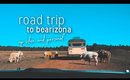 Road Trip To Bearizona!