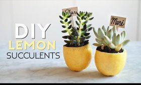 DIY Lemon Succulent Place Cards! Cute Summer 2016 Party Decor!