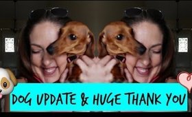 Update on Bella & HUGE THANK YOU!!!