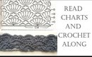 Read Crochet Chart and Crochet Along