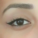 Winged liner