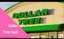 A Dollar Tree Haul