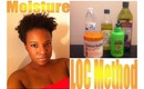 Natural Hair: LOC Method