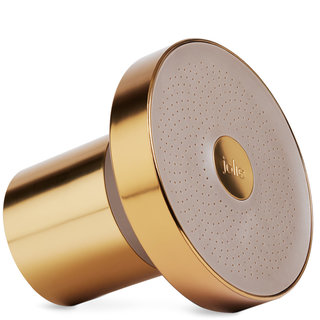The Filtered Showerhead Brushed Gold