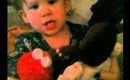 Harley loves Elmo!