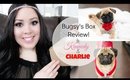 Bugsy's Box Review- Subscription Service for Your Dog!
