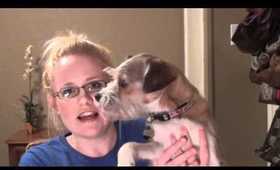 VLOG My Pets Tag!
