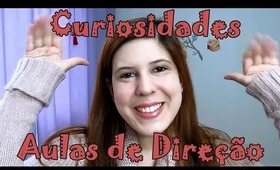 Curiosidades por uma Brasileira no Canada: Aulas de Direção