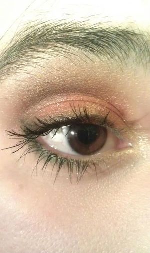 Wow the colors got so messed up. The eyeshadow is quite red with gold in the center, and i have a dark forest green on my bottom lash line. Lol idk what happened. 