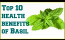 Top 10 health benefits of Basil