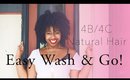 Easy Wash & Go on 4B 4C Natural Hair