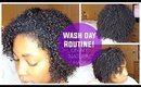 Wash Day Routine! | Natural Hair | Curly Hair Routine!  | Jessica Chanell
