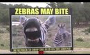 VLOG: ATTACKED BY A ZEBRA