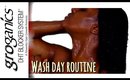 Wash Day for your Scalp & Hair | Shlinda1