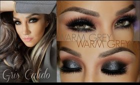 Look GRIS CALIDO Economico ( Warm Grey Smokey Eye  INEXPENSIVE)