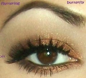Bronze eye makeup using my Wet-n-Wild Vanity 6 pan palette. flutteringbutterfly23 