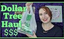 Dollar Tree Makeup Haul 2018 | Dollar Store Makeup Finds!