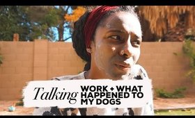 What Happened To My Dogs?
