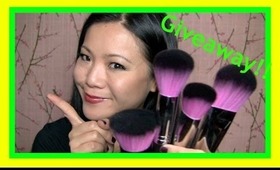 Holiday Giveaway #3 - Sedona Lace Face Brushes