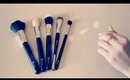 Royal Care Cosmetics Professional 12 Piece Make Up Brushes Set