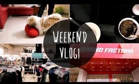 Vlogging on InFocus Snap4 __ Indian Family Vlogs | _ BUSY HUSBAND,  Shih Tzu Haircut | SuperWowStyle