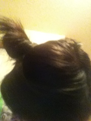 High Bun (: