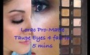 Lorac Pro Matte Taupe Eyes in 5 mins