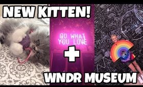 I GOT A KITTEN (+ went to the WNDR Museum)