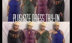 Rosegal.com Plus Size Dress Try-On