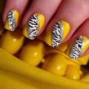 yellow zebra