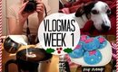 VLOGMAS WEEK 1 | Magnolia Rose