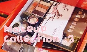 Makeup Collection of a 15 Year Old Blogger