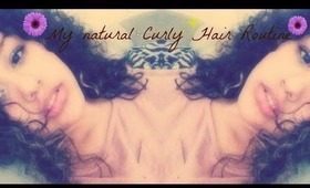 My natural curly hair routine | Dania Michelle