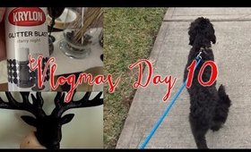 VLOGMAS DAY 10: Best Breakfast, Dog Walking & The Hospital