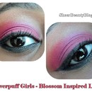 Powerpuff Girls Makeup Series - Blossom 