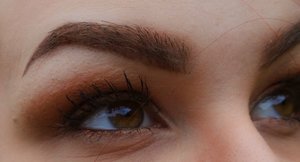 I had a good brow day when I took this photo. =] 

Products used for the brow: 

-Maybelline light brown eyebrow powder
-Sephora Waterproof Retrascable Brow Pencil's in Rich Chestnut, and Midnight Brown
-Anastasia Beverly Hills clear eyebrow gel