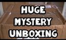 Huge Mystery Unboxing!