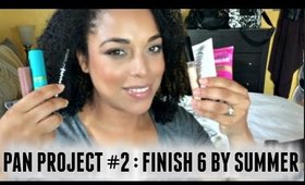 PROJECT PAN  | Finish 6 By Summer 2016 Intro | NaturallyCurlyQ