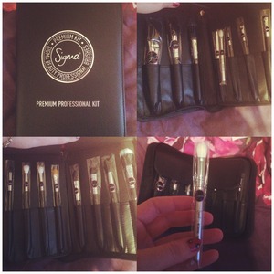 Set of 15 brushes and they even sent me a free travel sized blending brush 