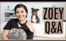 Zoey Q&A + WHAT HAPPENED TO COCO?!