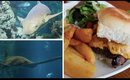 VLOG: Day In Hull | Sting Rays, Visiting Museums & An Epic Steak Burger