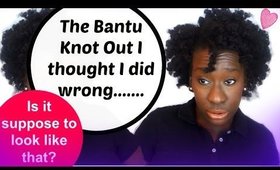 Natural Hair Tips: The Bantu Knot Out Hairstyle I Thought I did Wrong (4c Hair) #TNL #FBF
