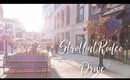VLOG #25 | RODEO DRIVE | WHAT DID YOU DO RICKY?