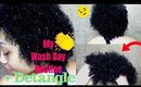 My Wash Day Routine Natural Hair + Detangle
