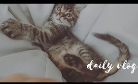 Daily vlog #7zile: experimente alimentare si bun venit, Nova!