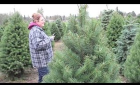 Tree Hunting!
