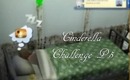 Cinderella Challenge pt 5