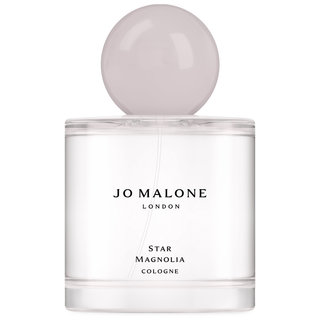 Star Magnolia Cologne