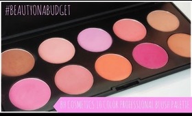 ♥ #BeautyonaBudget-BH Cosmetics 10 Color Professional Blush Palette ♥